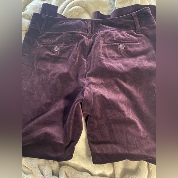 Dark purple velvet pants from Loft. - Picture 3 of 5